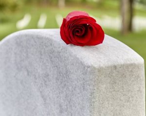 close up of rose sitting on top of a grave stone